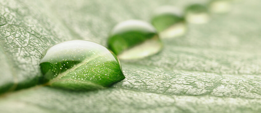Environmental Consultancy