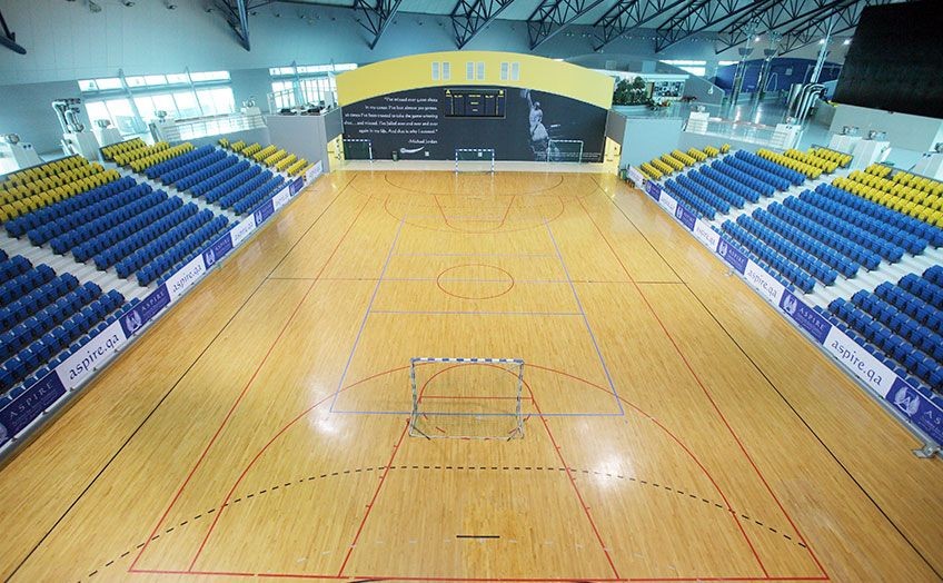 VIP Entrance for Aspire Zone Indoor Stadium