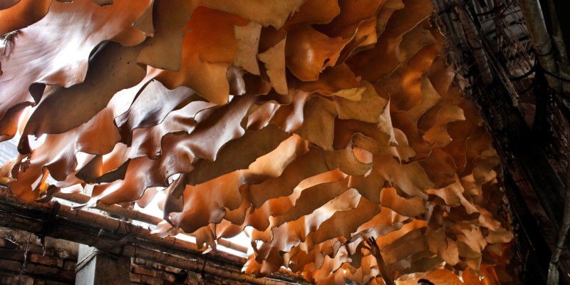 Environmental Impact Assessment  Study Report for Tannery