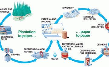 Paper Recycling 